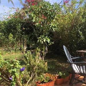 https://elliess-hus.1costadelsol.com